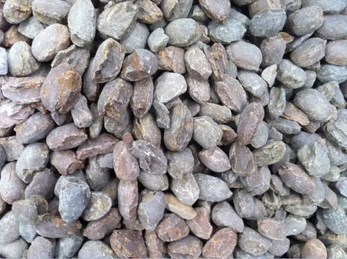 行情 中國鎂砂市場價格趨穩,高純鎂砂深受老外青睞